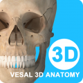 维萨里3d解剖教学下载