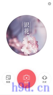 识花君app