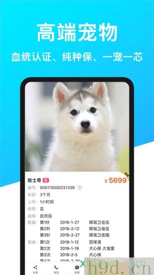 宠物市场app下载