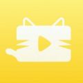 猫咪视频网站app