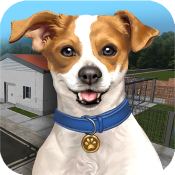 动物收容所模拟器游戏安卓版下载