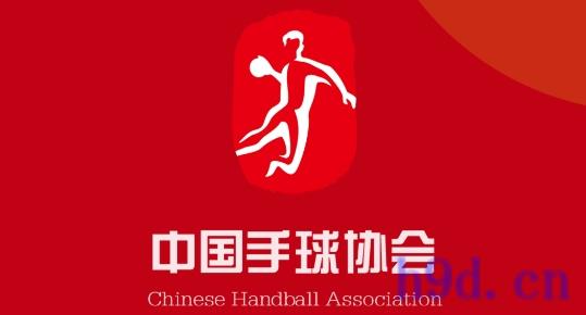 中国手球协会图2