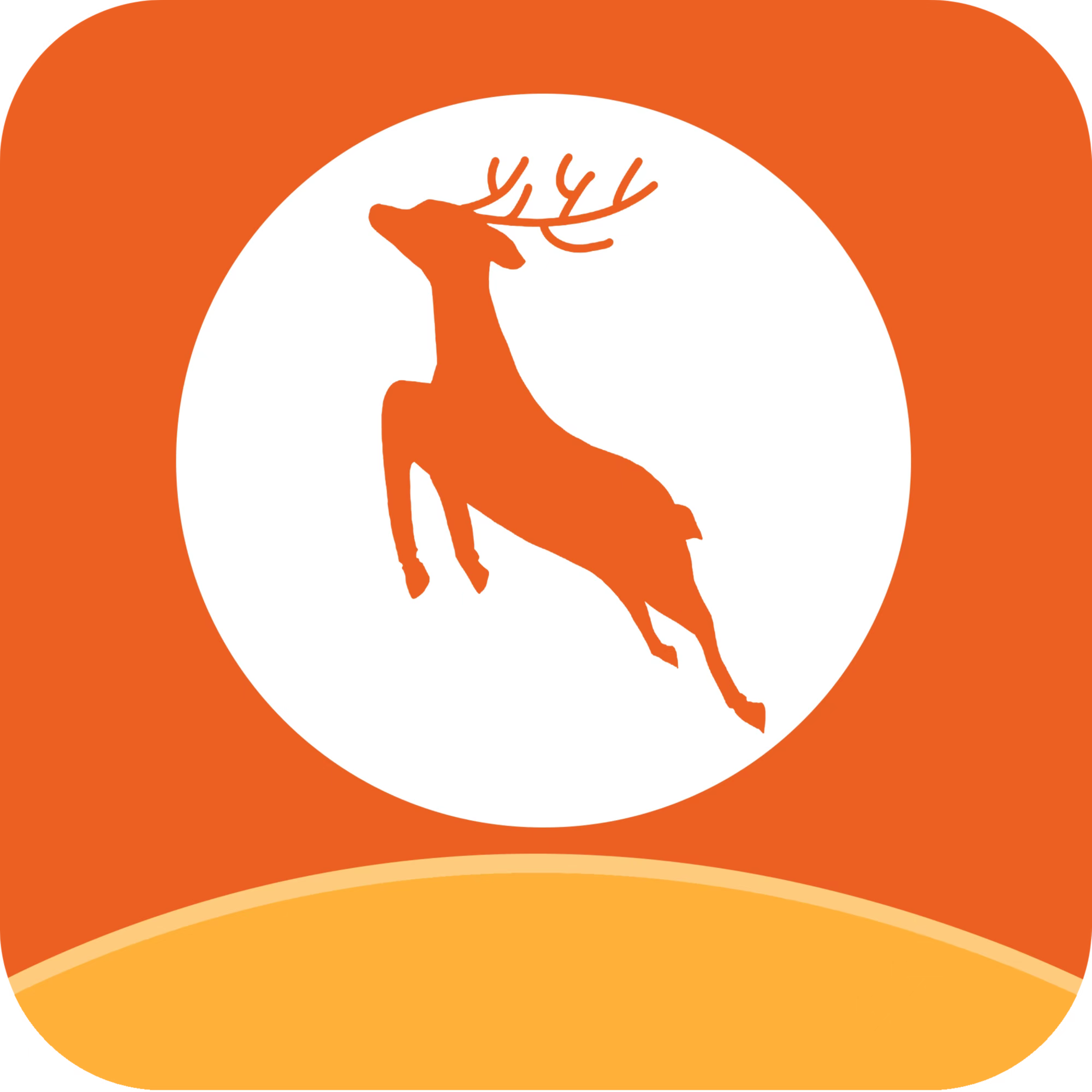 小鹿专升本app